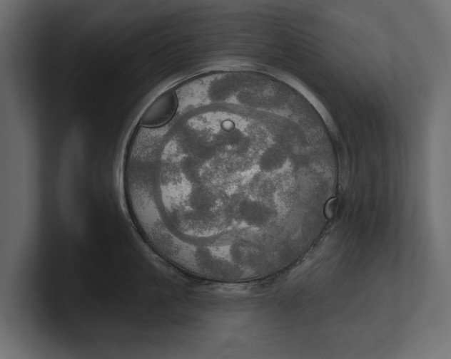 X0000100470861200806271140