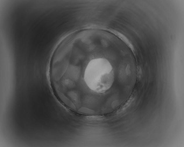 X0000100470863200806271140