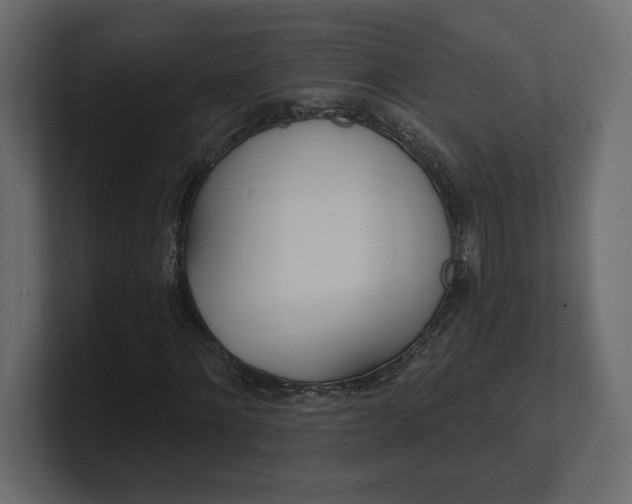 X0000100470868200806271139