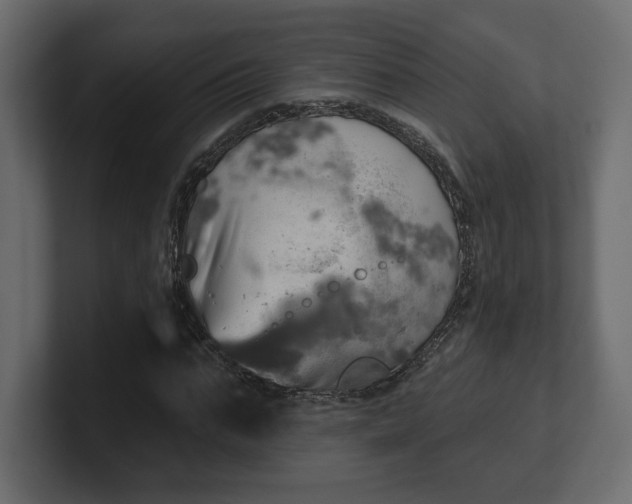 X0000100470871200806271139