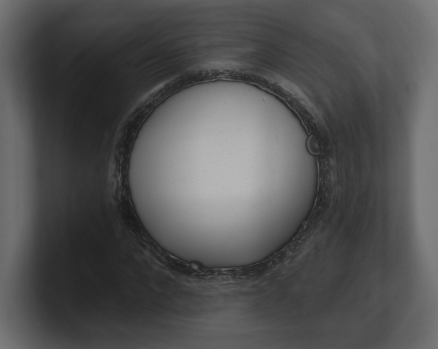 X0000100470872200806271139