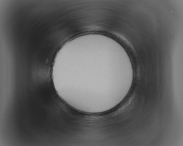 X0000100470873200806271139