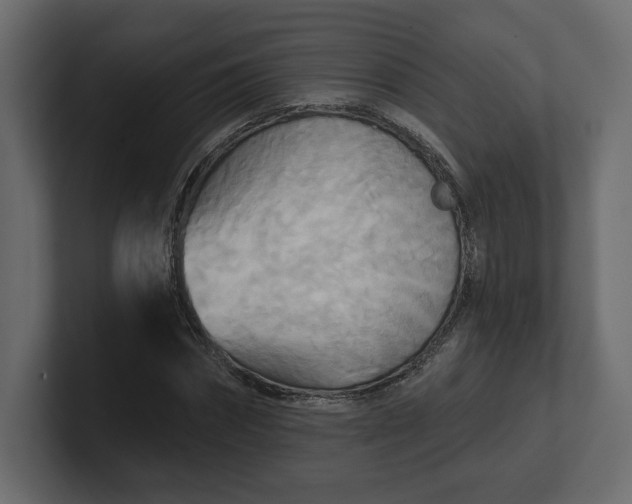 X0000100470874200806271139