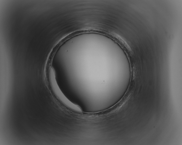 X0000100470876200806271139