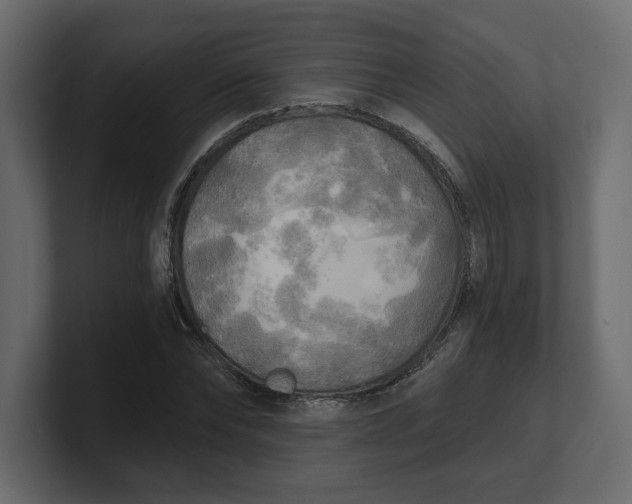 X0000100470878200806271139