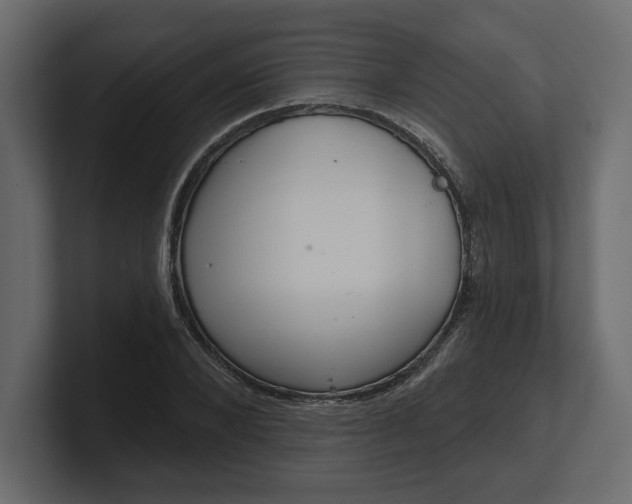 X0000100470880200806271139