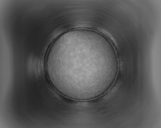 X0000100470882200806271139