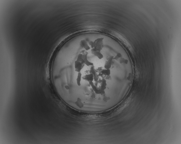 X0000100470883200806271139