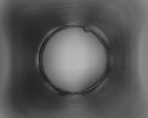 X0000100470884200806271139