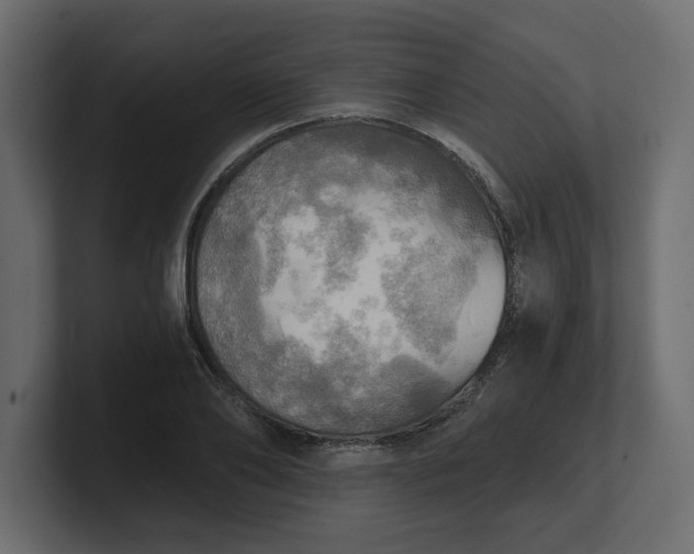 X0000100470886200806271139