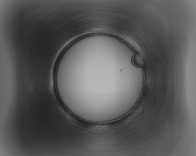 X0000100470888200806271139