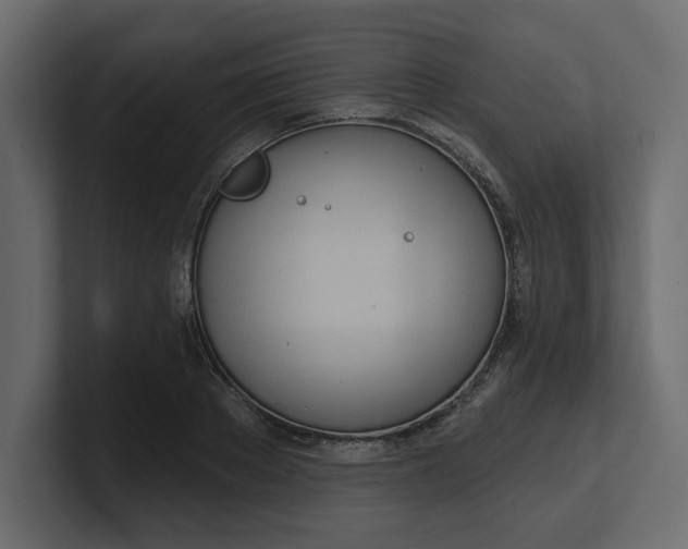 X0000100470889200806271139