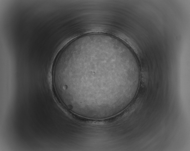 X0000100470890200806271139