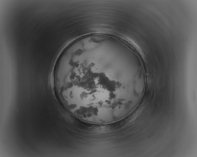 X0000100470891200806271139