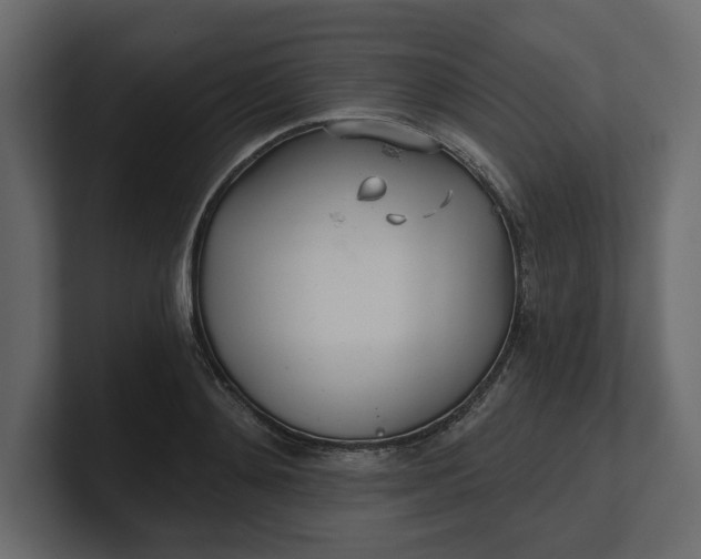 X0000100470892200806271139