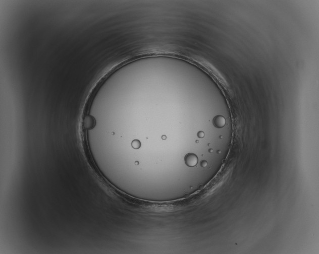 X0000100470893200806271139