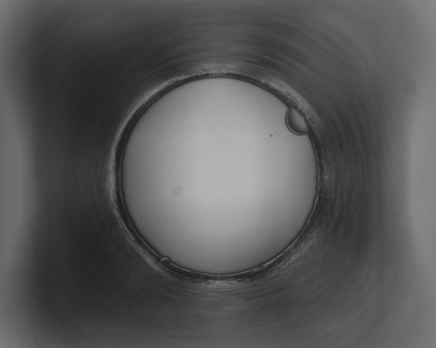 X0000100470894200806271139