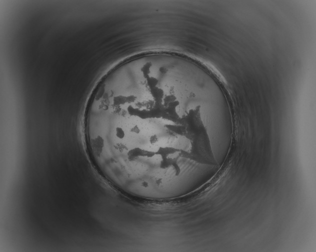 X0000100470895200806271139