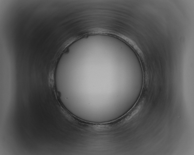 X0000100470897200806271139