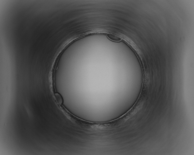 X0000100470898200806271139