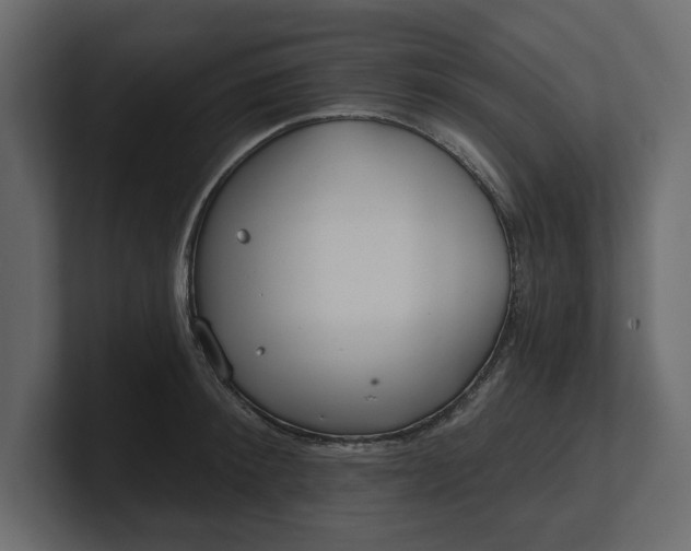 X0000100470900200806271139