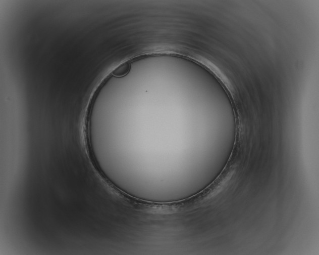 X0000100470901200806271139