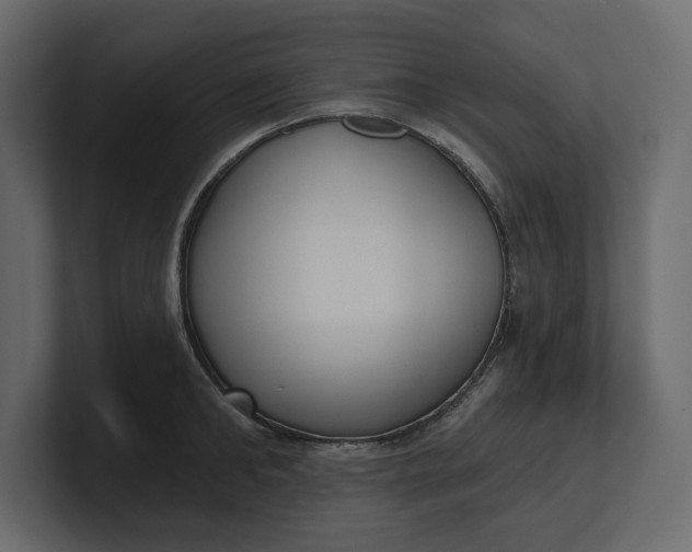 X0000100470902200806271139