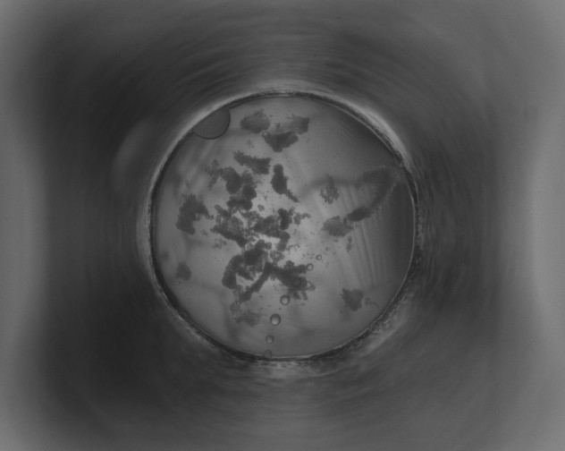 X0000100470903200806271139