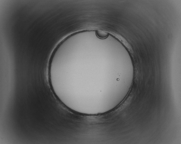 X0000100470904200806271139