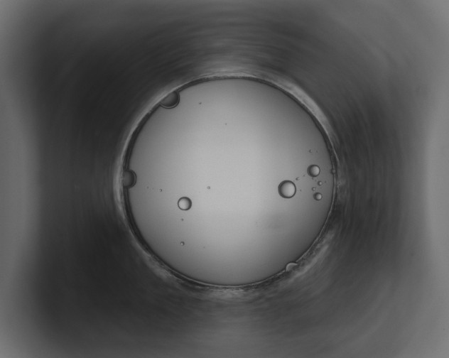 X0000100470909200806271139