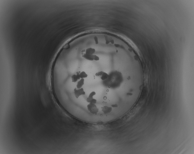 X0000100470911200806271139