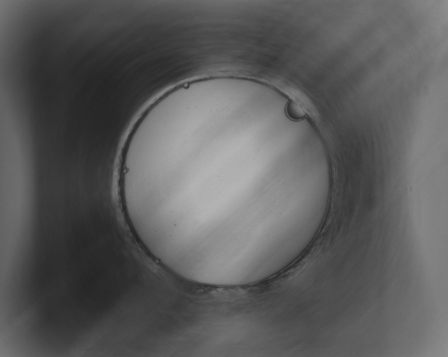 X0000100470912200806271139