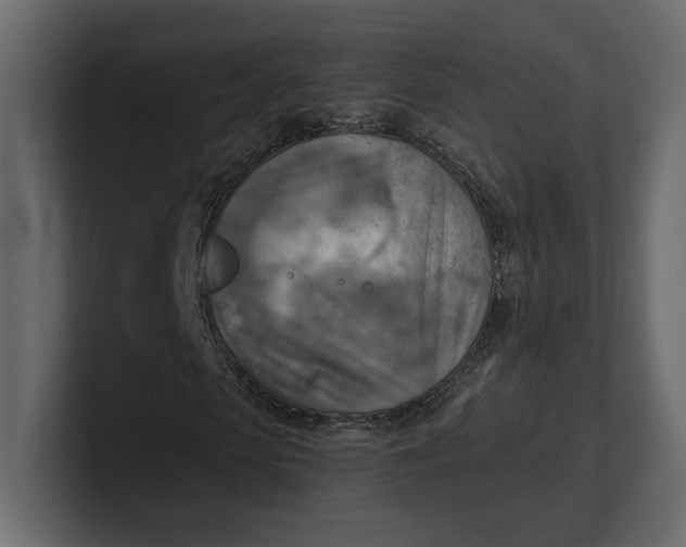 X0000100470913200806271138