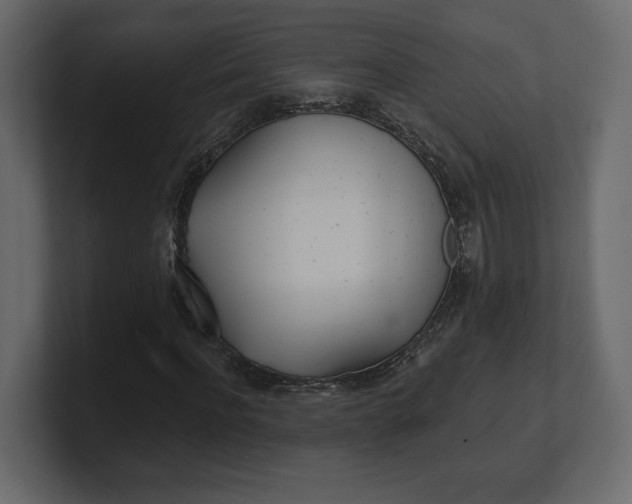 X0000100470916200806271138