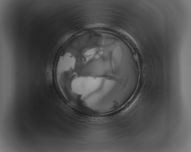 X0000100470921200806271138