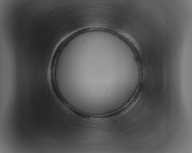 X0000100470928200806271138