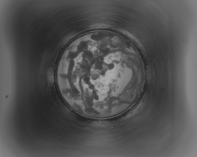 X0000100470929200806271138