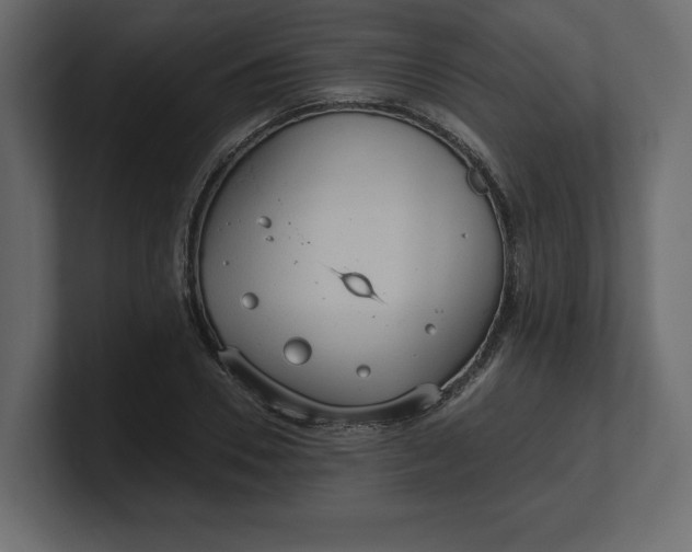 X0000100470930200806271138