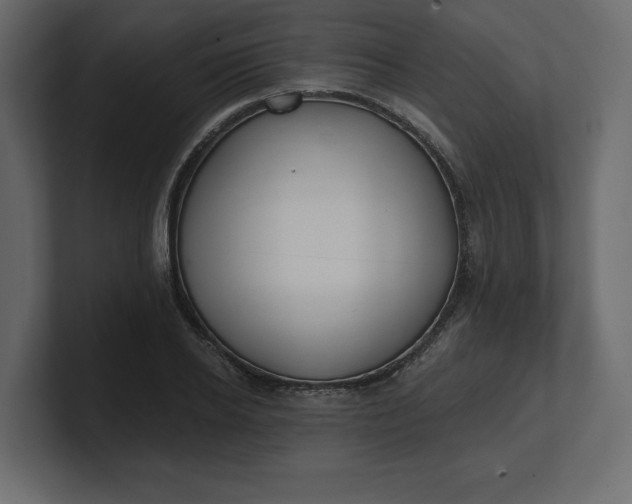 X0000100470934200806271138