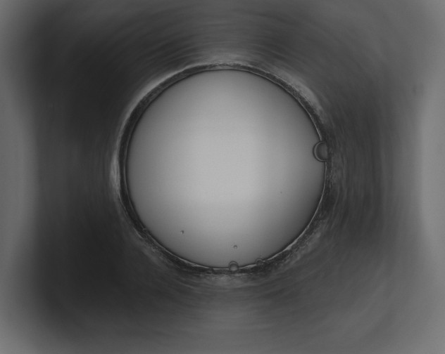 X0000100470936200806271139