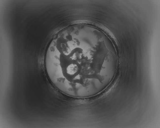 X0000100470937200806271139