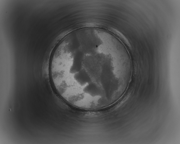 X0000100470938200806271139