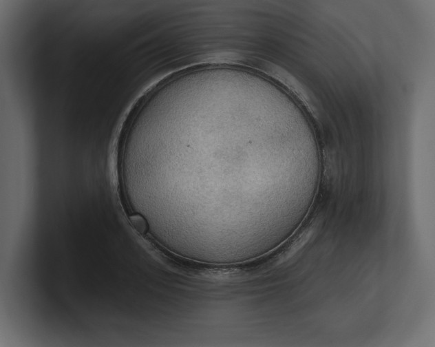 X0000100470939200806271139