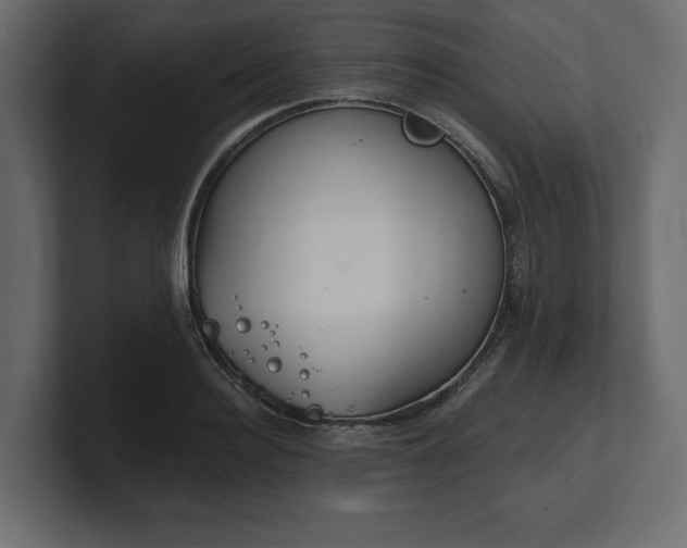 X0000100470940200806271139