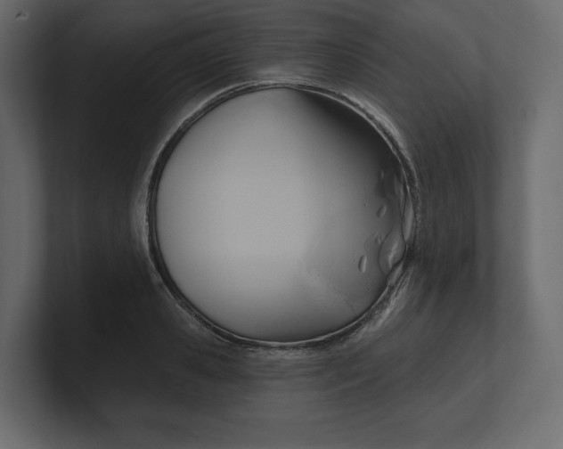 X0000100470941200806271139