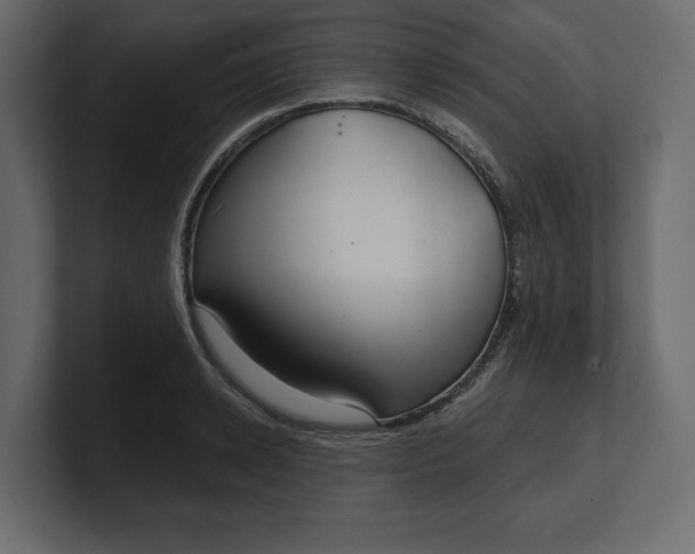 X0000100470942200806271139