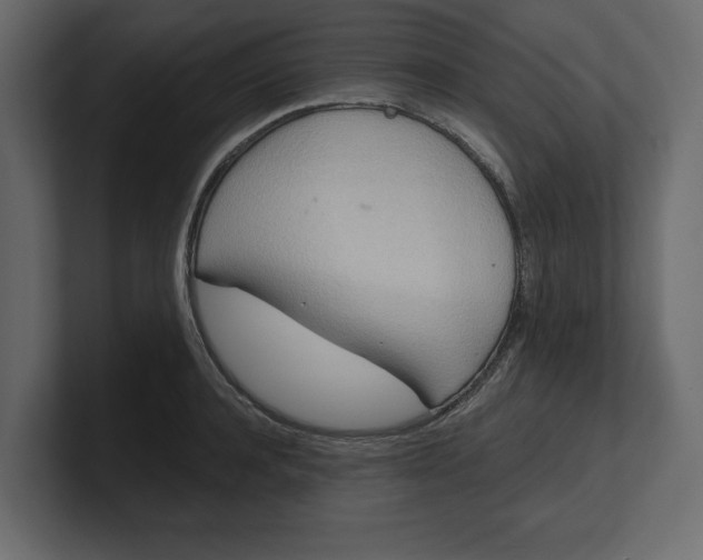 X0000100470944200806271139