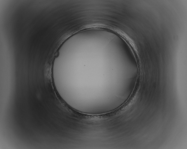 X0000100470945200806271139