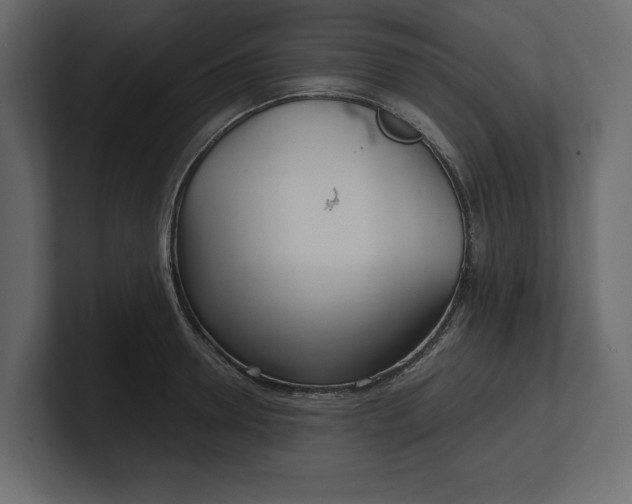 X0000100470946200806271139