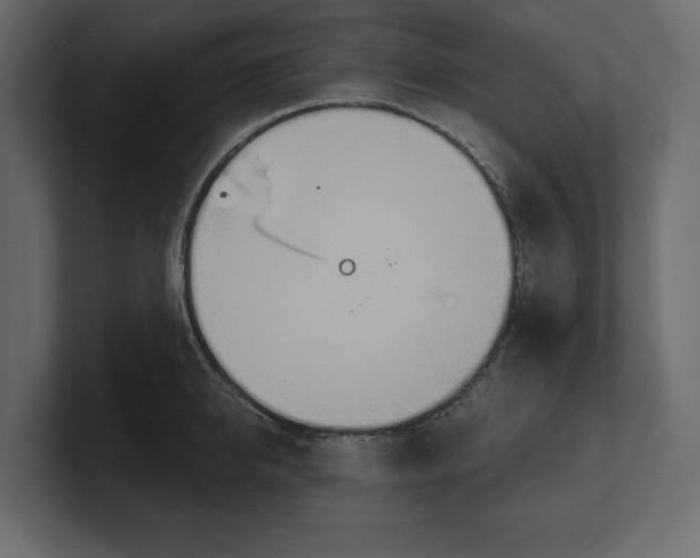 X0000100470950200806271139